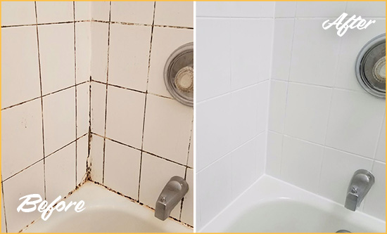 Before and After Picture of a Lanoka Harbor Shower Tile and Grout Cleaned to Eliminate Mold