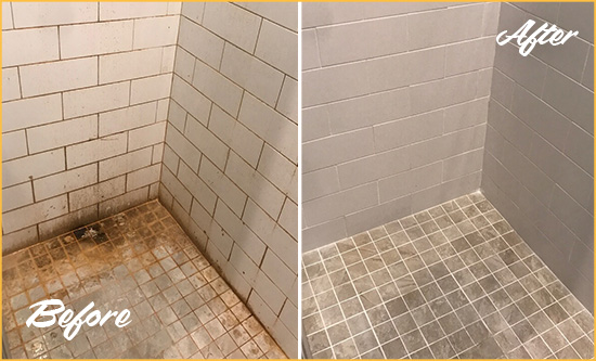 Before and After Picture of a Cream Ridge Shower Tile and Grout Cleaned to Eliminate Mold and Stains
