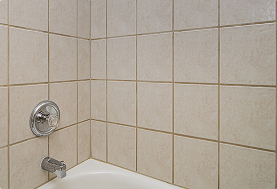 Grout Cleaning Before