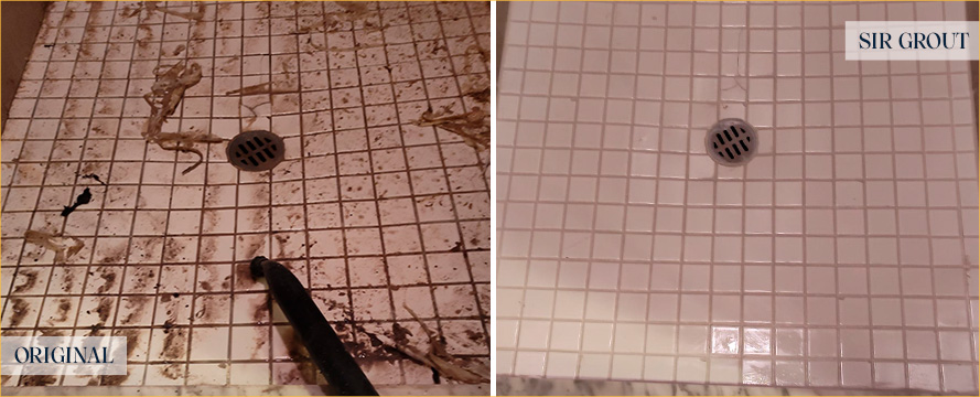 Shower Before and After a Flawless Tile Cleaning in Brick, NJ