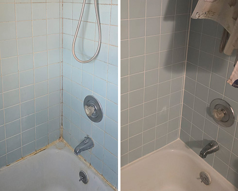Shower Before and After a Grout Cleaning in Jackson, NJ