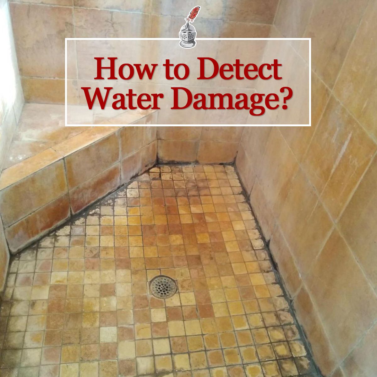 How to Detect Water Damage