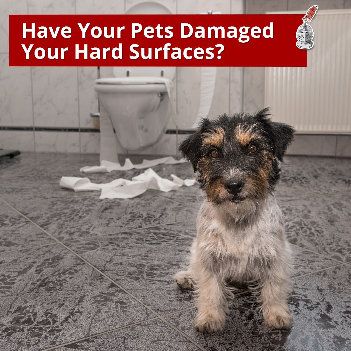 Have Your Pets Damaged Your Hard Surfaces?