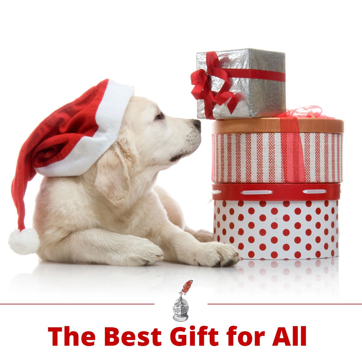 The Best Gift for All